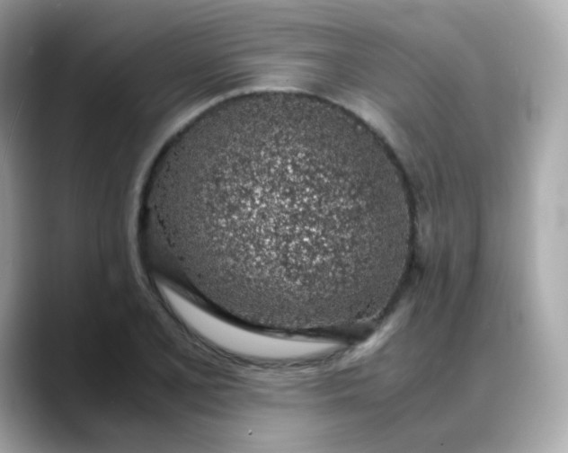 X0000088441077200706051244