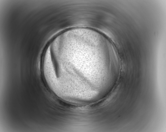X0000088441078200706051244