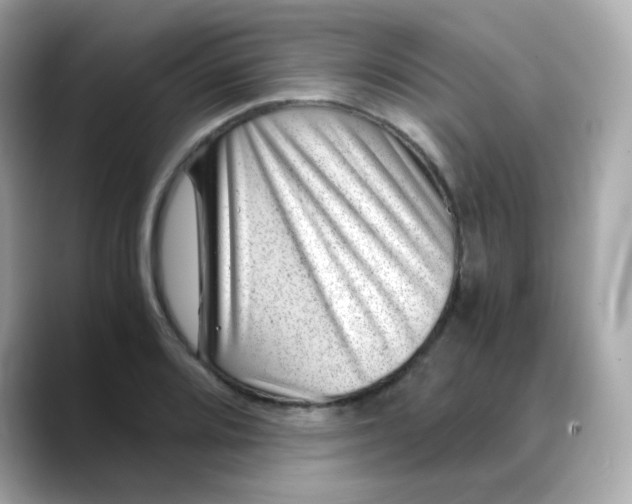 X0000088441080200706051244