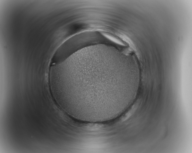 X0000088441081200706051244