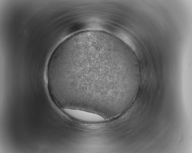 X0000088441084200706051244