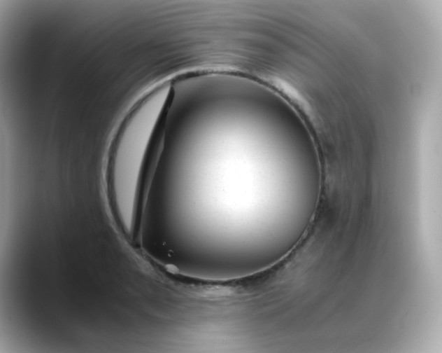 X0000088441085200706051244
