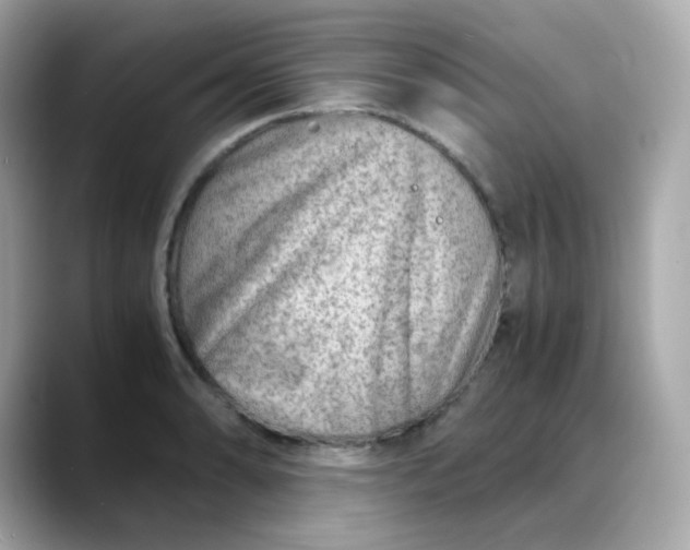 X0000088441086200706051244
