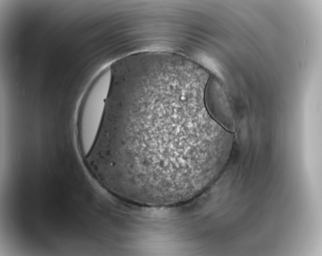 X0000088441087200706051244