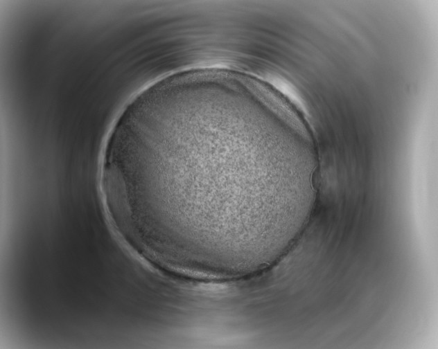 X0000088441088200706051244
