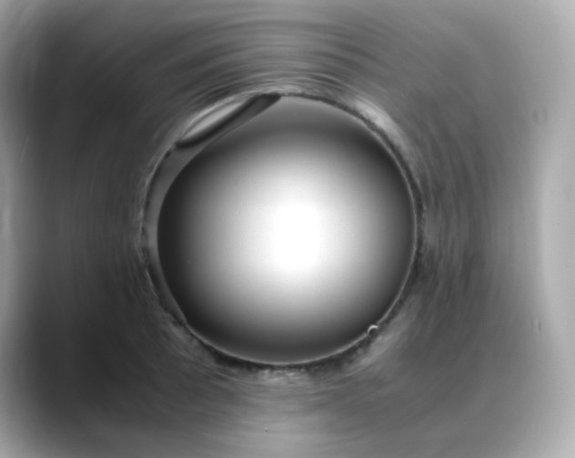 X0000088441089200706051244