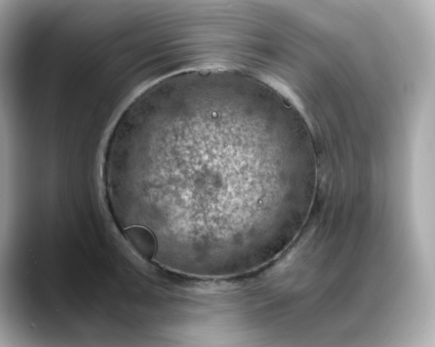 X0000088441091200706051244
