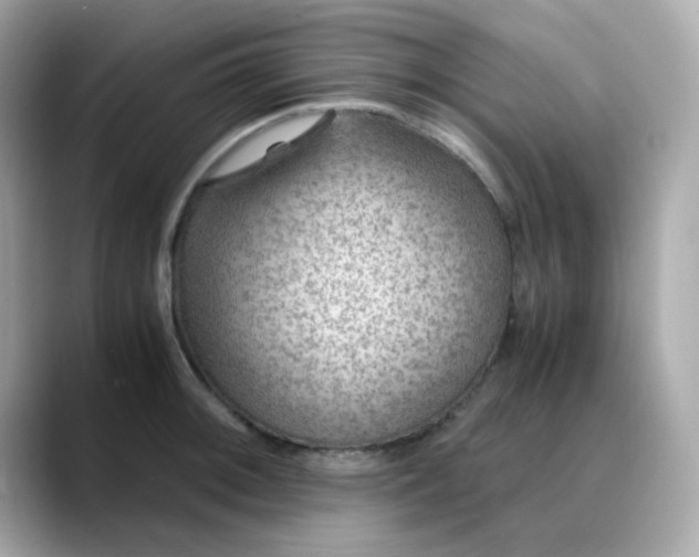 X0000088441092200706051244