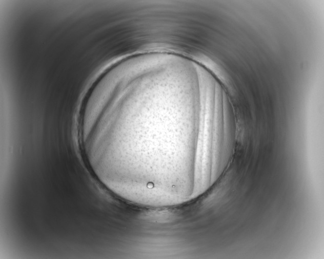 X0000088441094200706051244