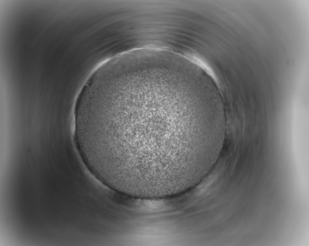 X0000088441095200706051244