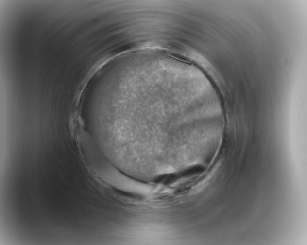 X0000088441097200706051244