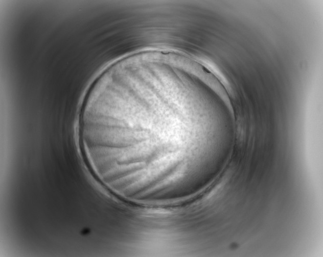X0000088441100200706051244