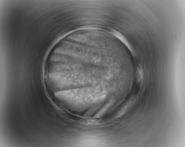 X0000088441101200706051244