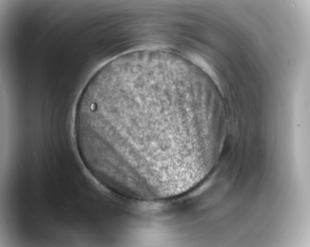 X0000088441103200706051243