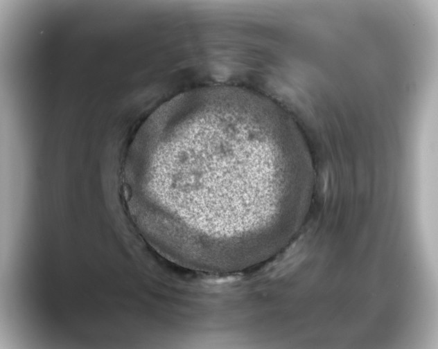 X0000088441105200706051243
