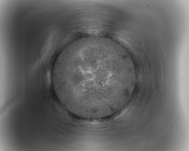 X0000088441106200706051243