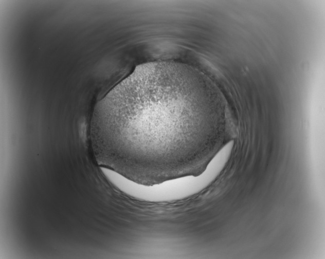 X0000088441108200706051243