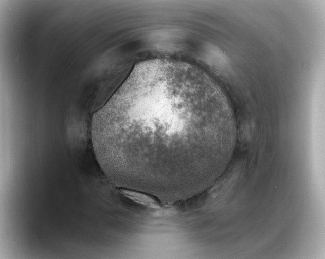 X0000088441110200706051243