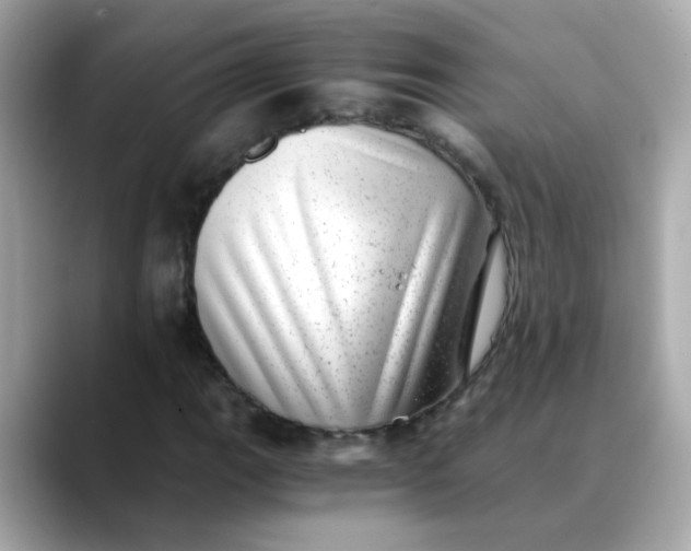 X0000088441111200706051243