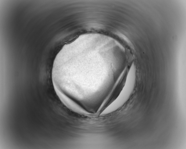 X0000088441112200706051243