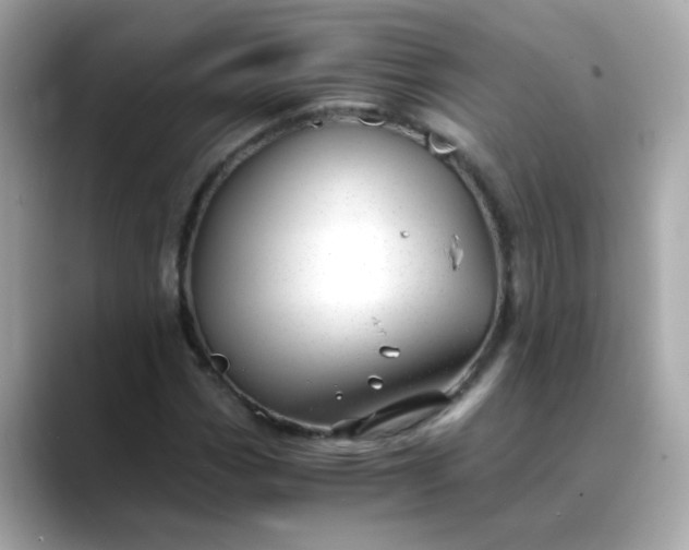 X0000088441113200706051243