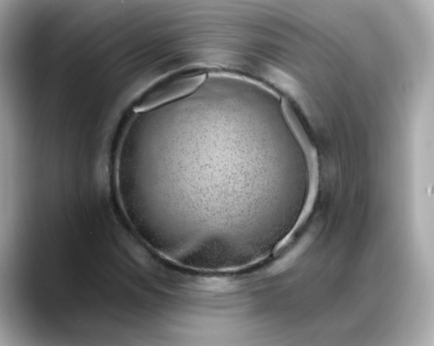 X0000088441114200706051243