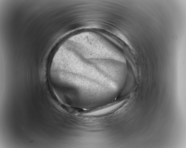 X0000088441116200706051243