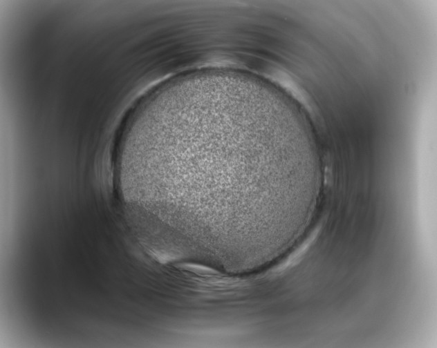 X0000088441117200706051243