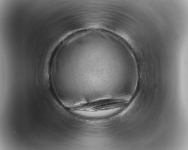 X0000088441118200706051243