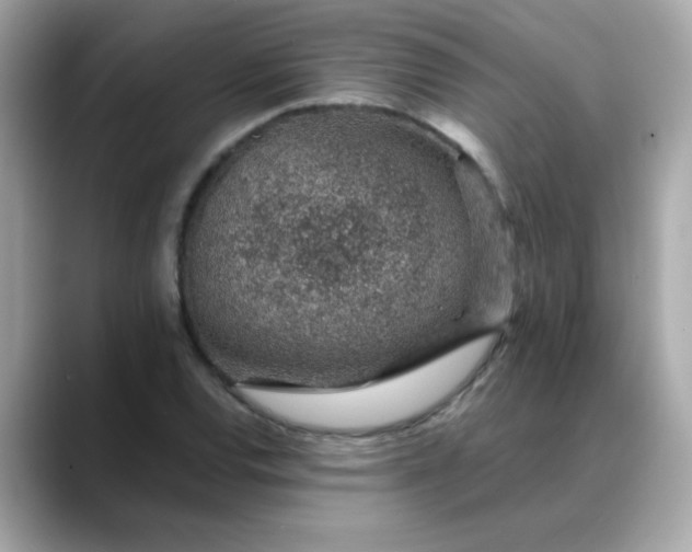 X0000088441120200706051243