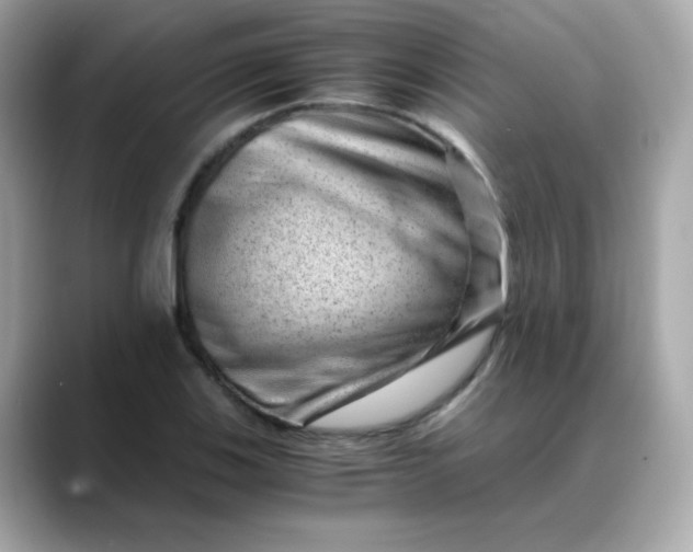 X0000088441123200706051243