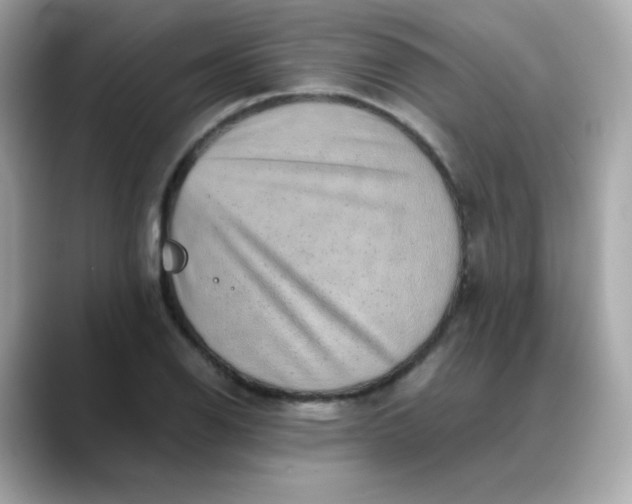 X0000088441126200706051243