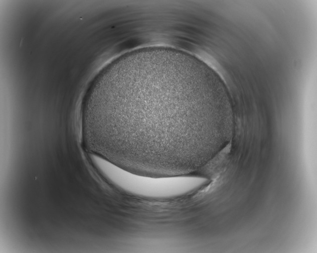 X0000088441127200706051243