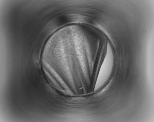 X0000088441129200706051243
