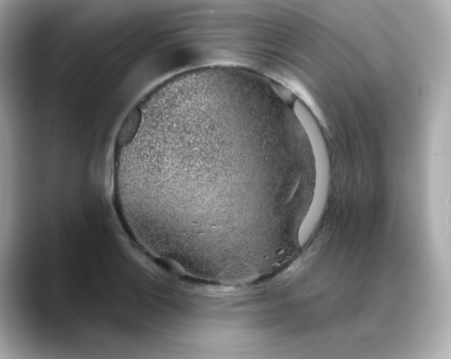 X0000088441132200706051243