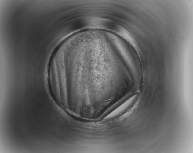 X0000088441133200706051243