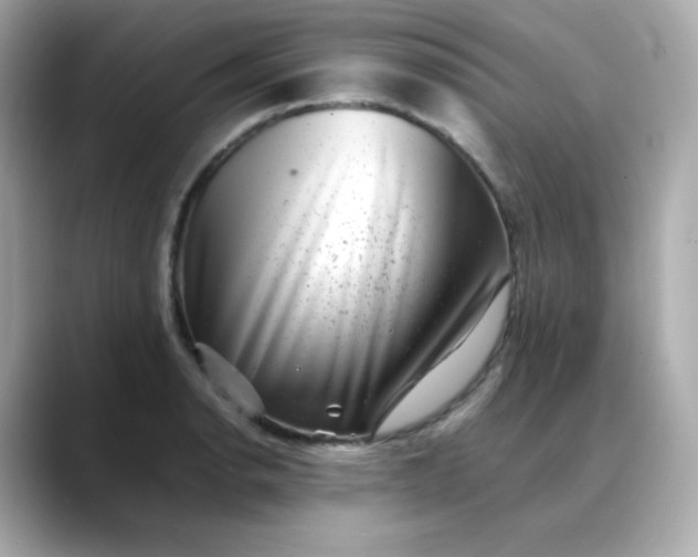 X0000088441134200706051243
