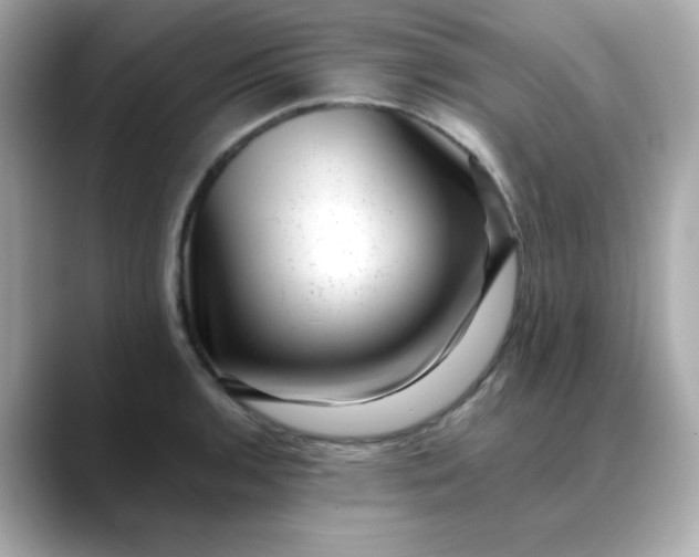 X0000088441136200706051243