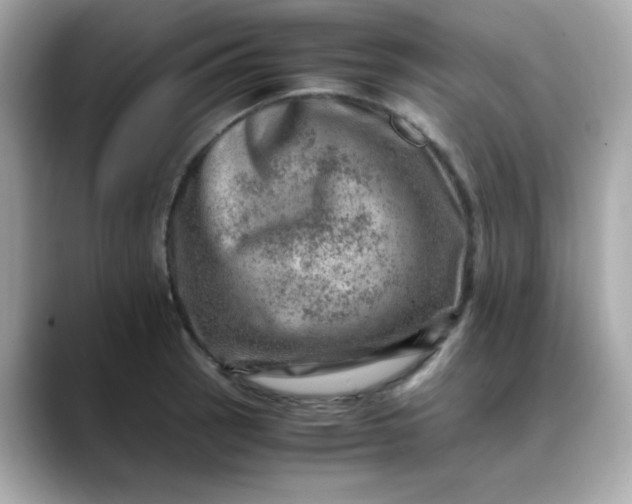 X0000088441137200706051243