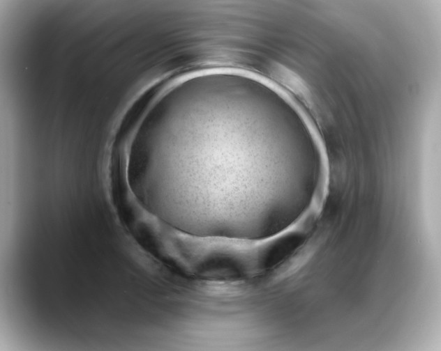 X0000088441138200706051243