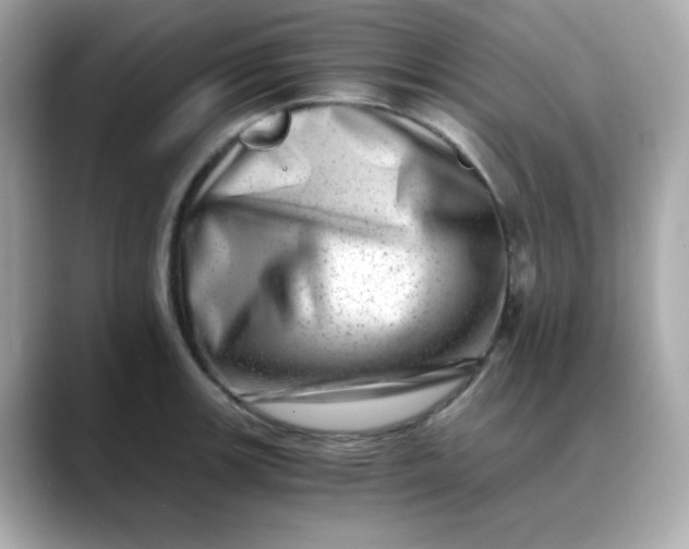 X0000088441139200706051243