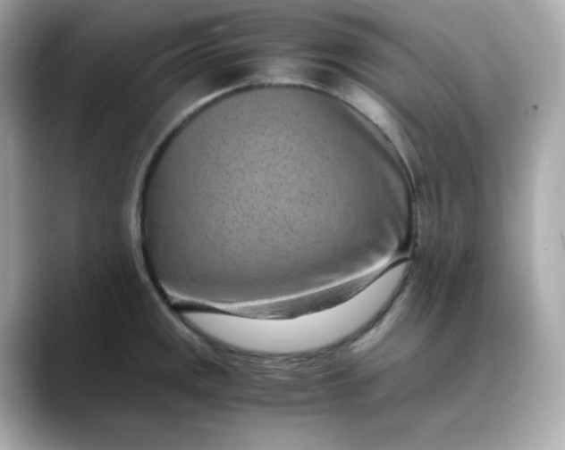 X0000088441141200706051243