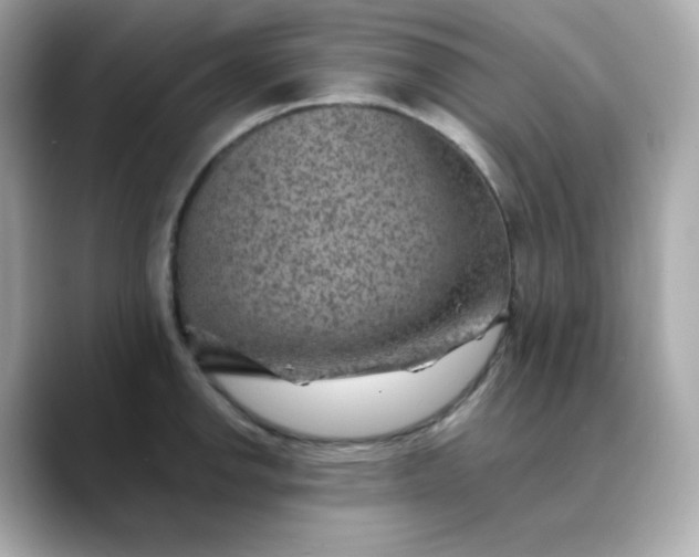 X0000088441142200706051243