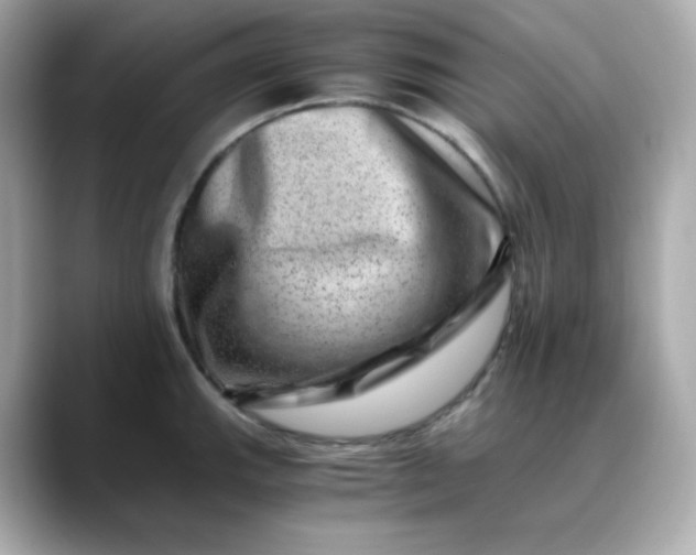 X0000088441143200706051243