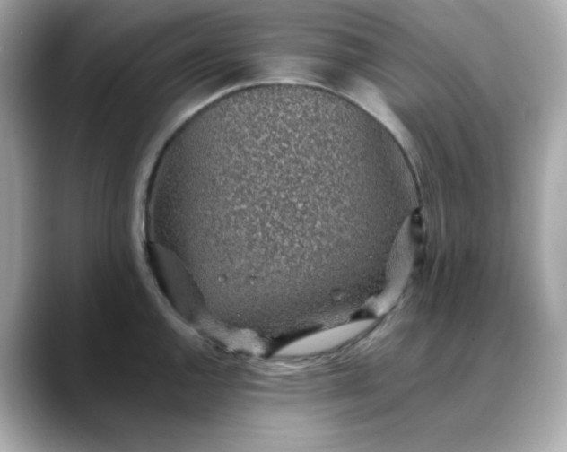 X0000088441144200706051243