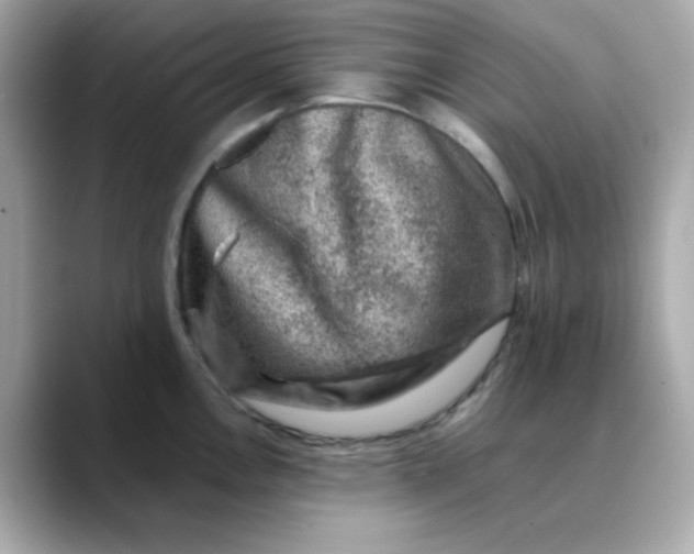 X0000088441146200706051243