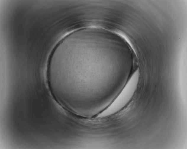 X0000088441147200706051243