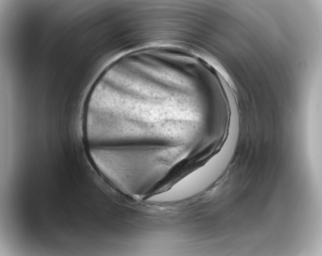 X0000088441148200706051243