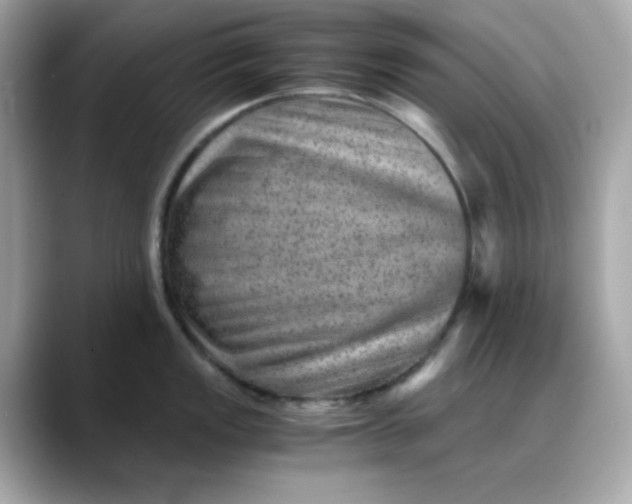 X0000088441149200706051243