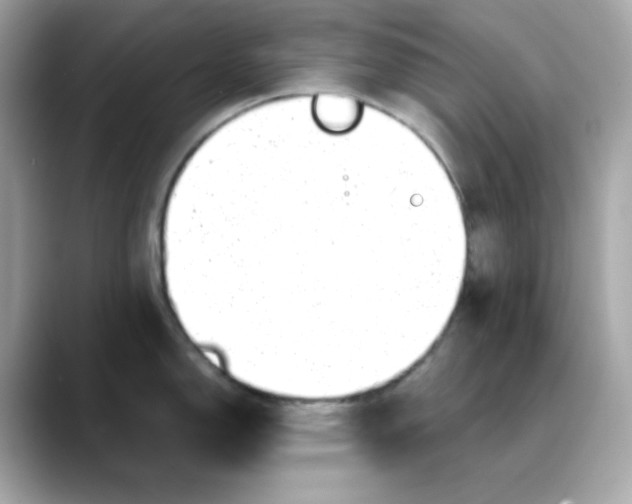 X0000088441150200706051243